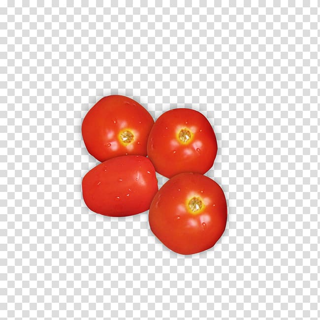 Plum tomato Cherry tomato Tomato soup Bush tomato, Cherry tomatoes transparent background PNG clipart