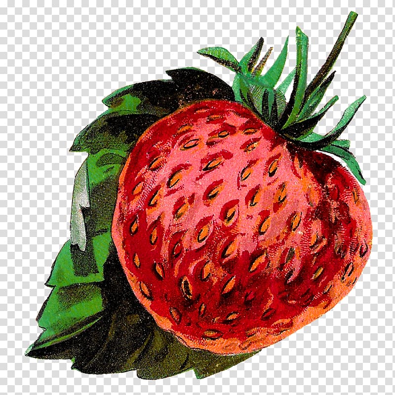 Strawberry Accessory fruit , strawberry transparent background PNG clipart