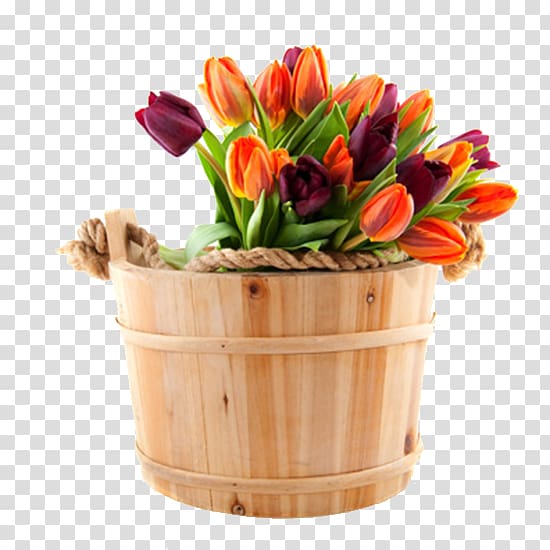 Flower bouquet Floristry Tulip International Womens Day, Cask color tulips transparent background PNG clipart
