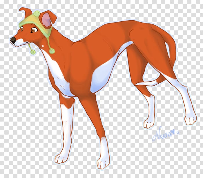 Italian Greyhound Whippet Sloughi Spanish greyhound, Whippet transparent background PNG clipart