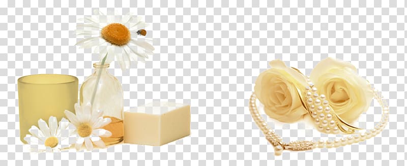 , Cheese flowers transparent background PNG clipart