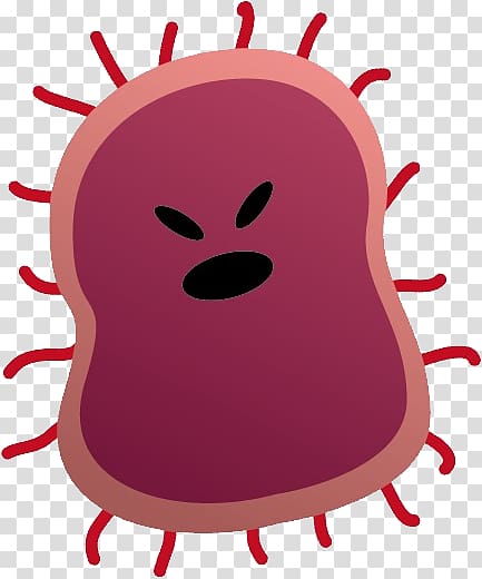 Bacteria transparent background PNG clipart