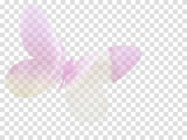 Pink M RTV Pink, Papilon transparent background PNG clipart