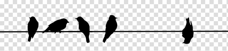 Black Line Silhouette Angle White, Bird On A Wire transparent background PNG clipart