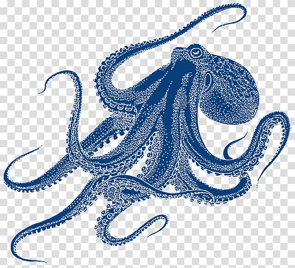 Octopus Drawing Art, others transparent background PNG clipart