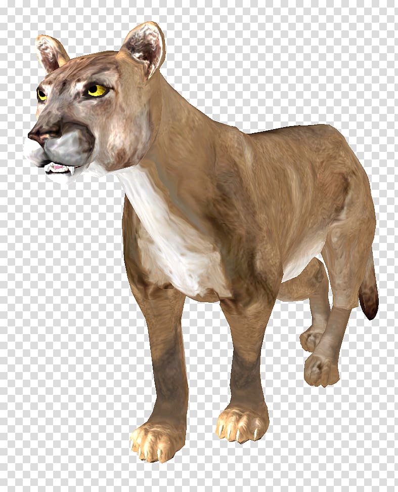 Lion Shivering Isles Cougar The Elder Scrolls III: Bloodmoon An Elder Scrolls Legend: Battlespire, lion face transparent background PNG clipart