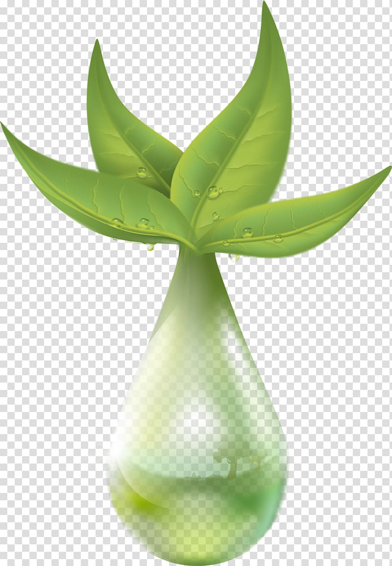 Pixabay Extraction Drop Illustration, Green plants transparent background PNG clipart