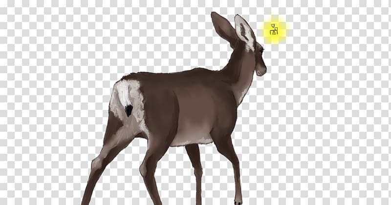 Antelope White-tailed deer Goat Wildlife, goat transparent background PNG clipart