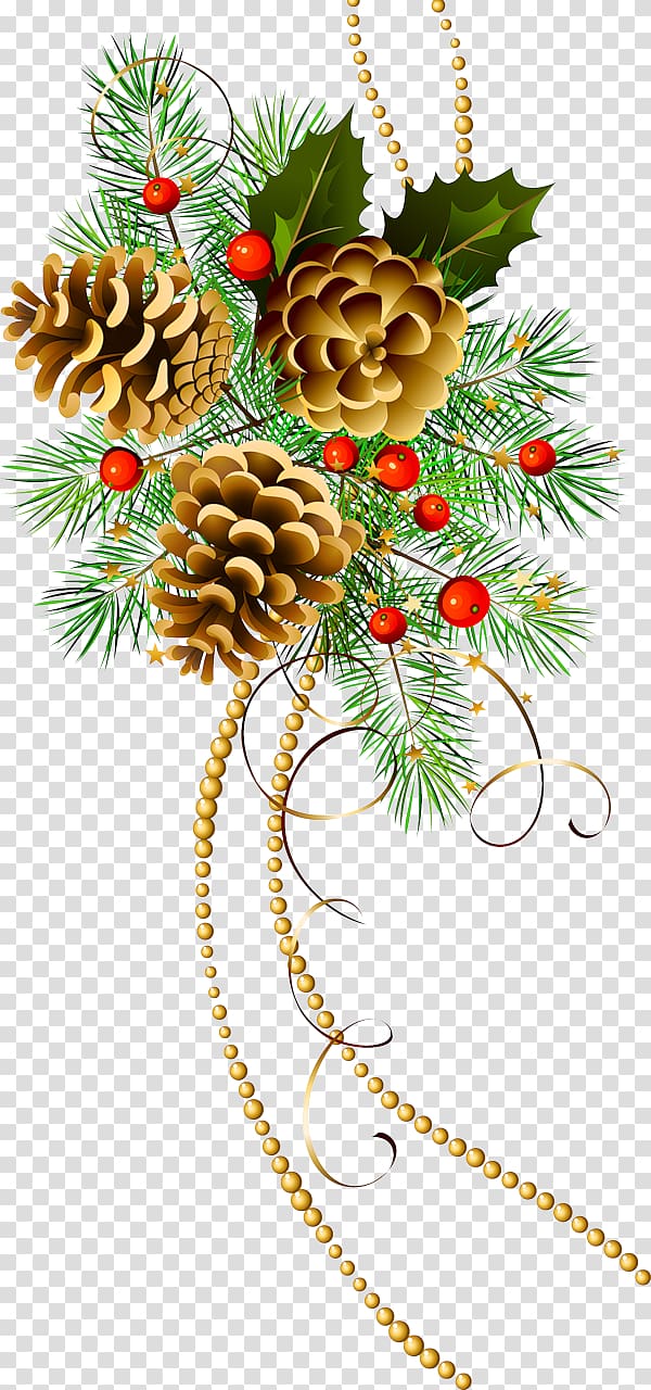 Pine Conifer cone , christmas transparent background PNG clipart
