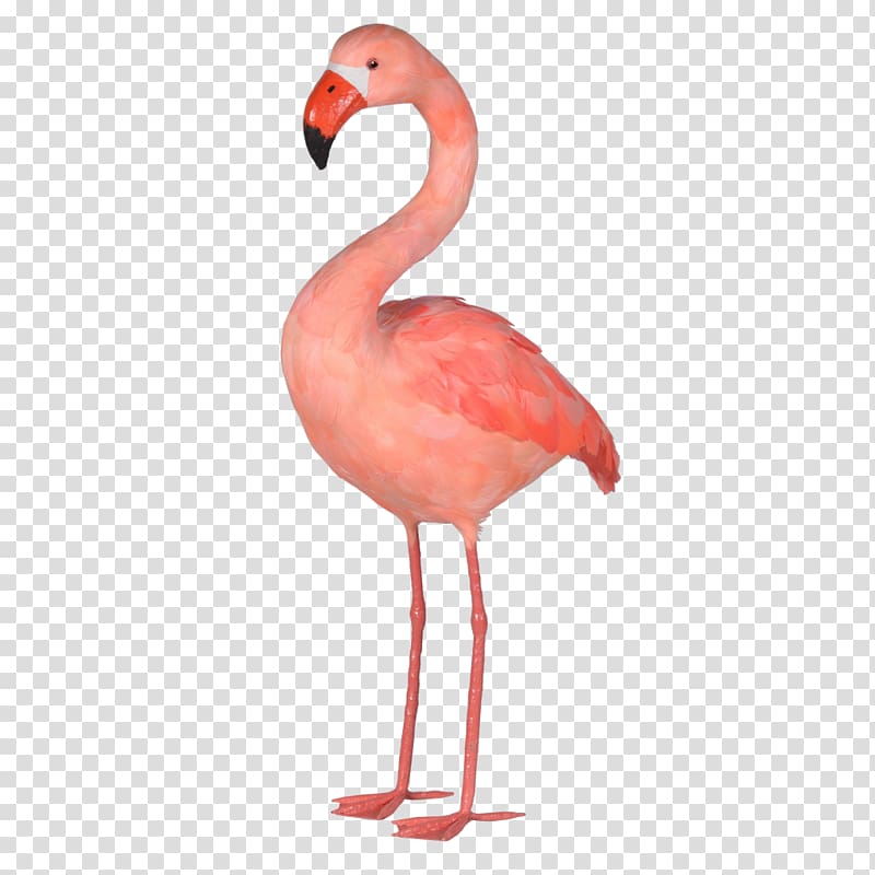Plastic flamingo Interior Design Services Art, pink flamingo transparent background PNG clipart