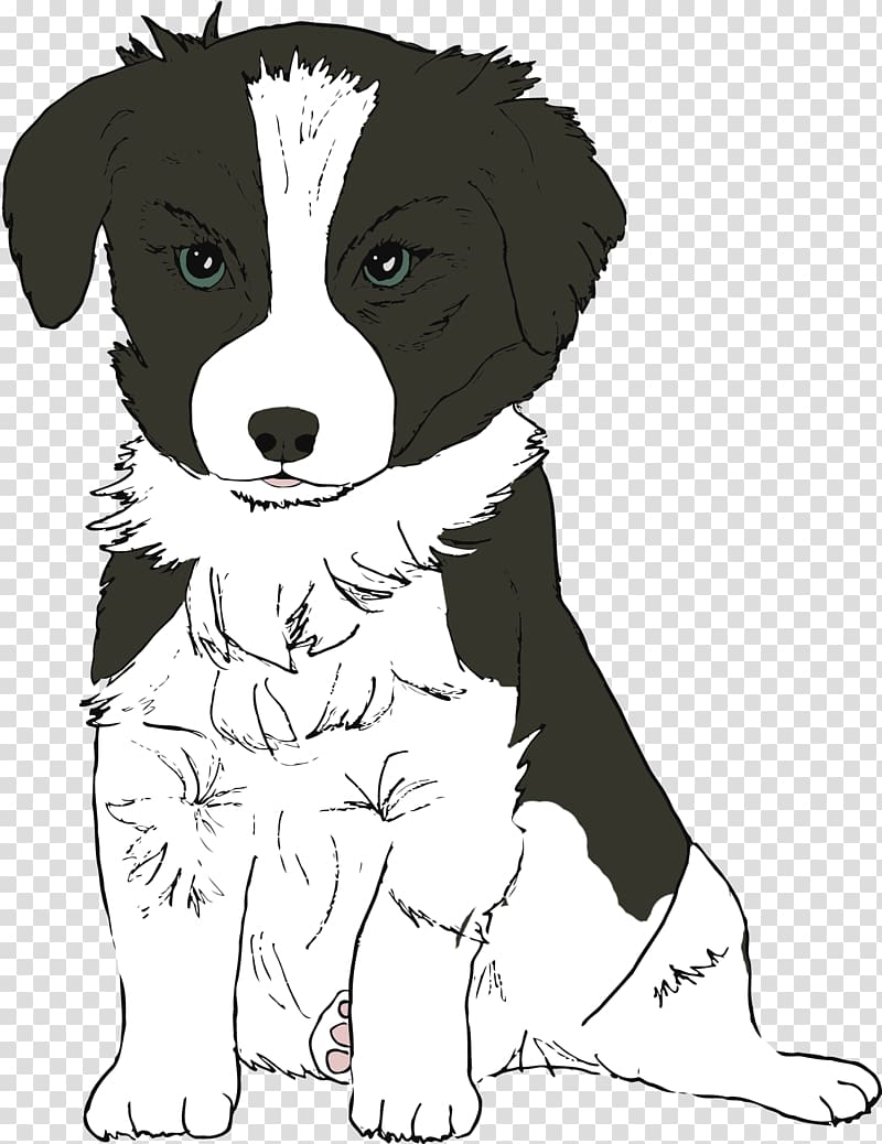 Dog breed Border Collie Puppy Companion dog Rough Collie, dog Sketch transparent background PNG clipart