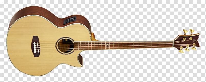 Acoustic bass guitar Acoustic guitar Music, amancio ortega transparent background PNG clipart