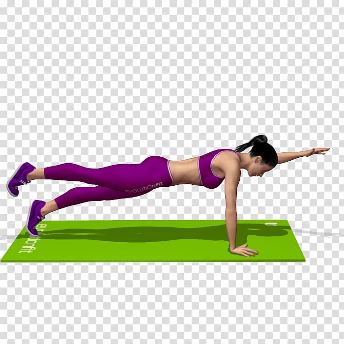 Pilates Bodyweight exercise Suspension training Physical fitness, others transparent background PNG clipart