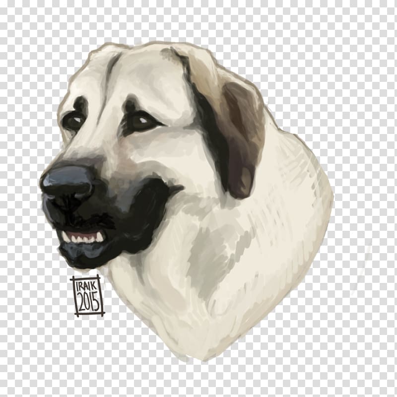 Dog breed Snout Crossbreed, Dog transparent background PNG clipart