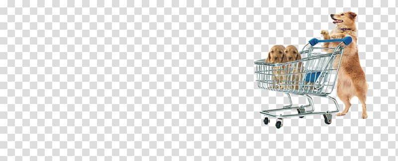Shopping cart Shoe, Northern Inuit Dog transparent background PNG clipart