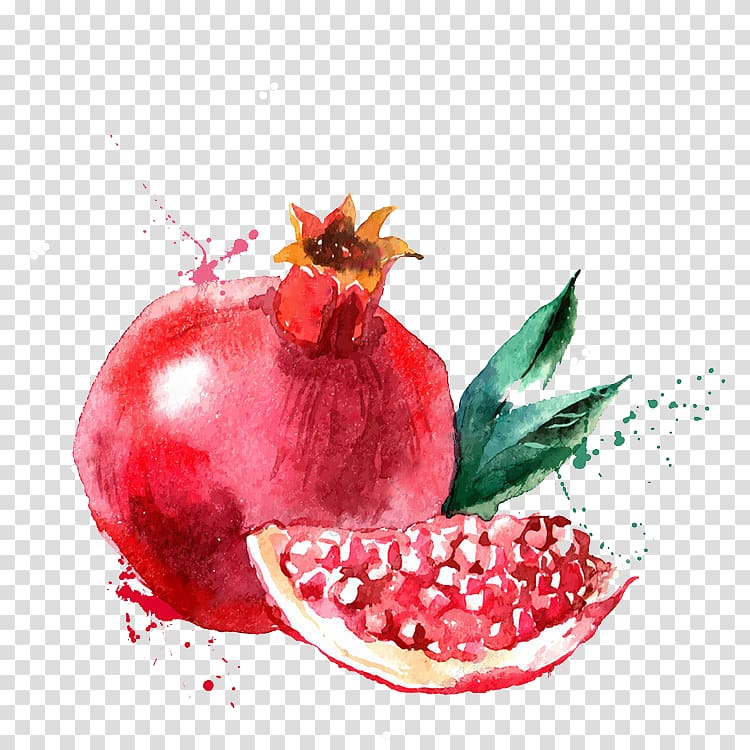 red pomegranate fruit painting, Watercolor painting Fruit Drawing Illustration, Hand-painted pomegranate transparent background PNG clipart
