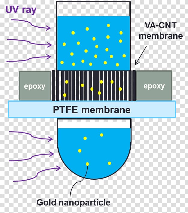 Carbon nanotube Chemical vapor deposition Logo Brand, others transparent background PNG clipart