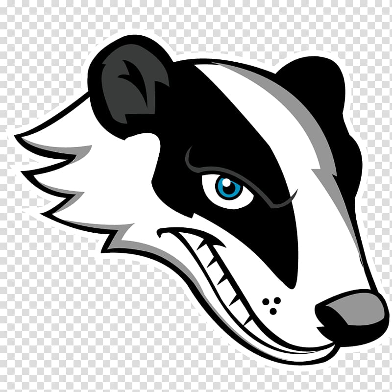 white and black badger head illustration, Badger transparent background PNG clipart