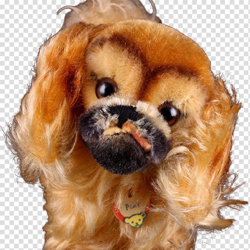 Tibetan Spaniel Puppy Pekingese Dog breed, puppy transparent background PNG clipart