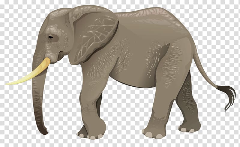 Turtle Animal Wildlife Elephant, Elephant transparent background PNG clipart