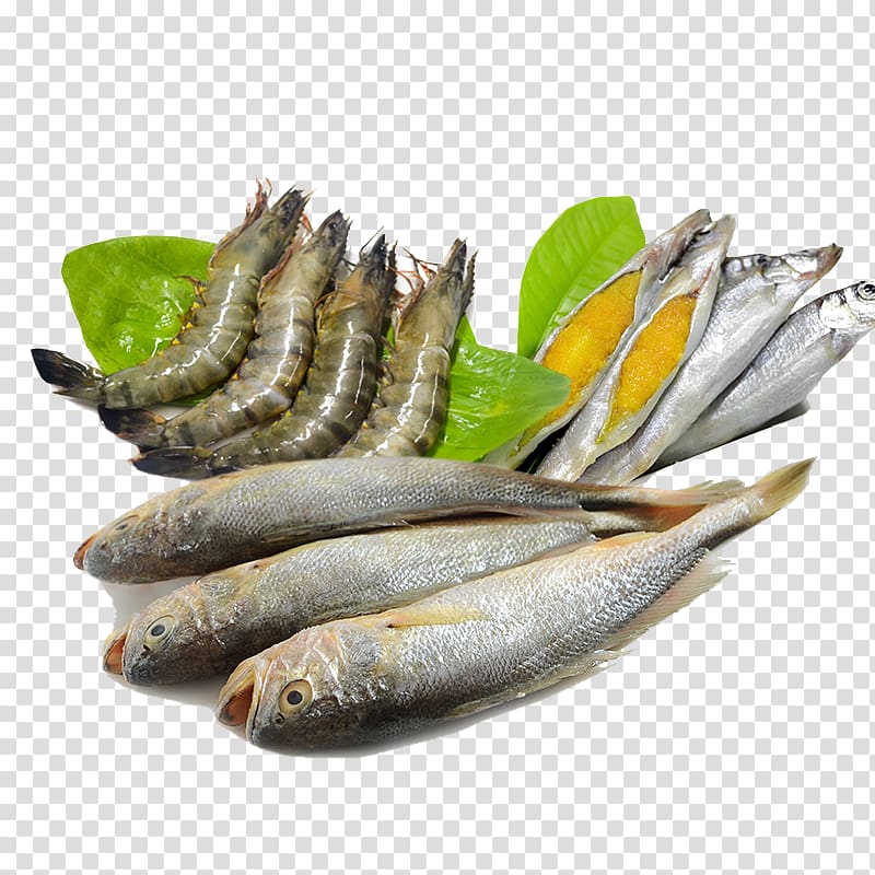 Caridea Sashimi Fish Seafood, Fish and seafood transparent background PNG clipart