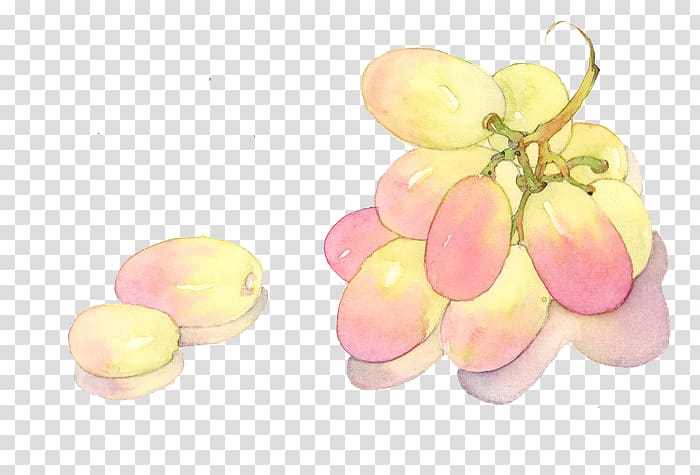 Grape Watercolor painting, Hand-painted grapes transparent background PNG clipart