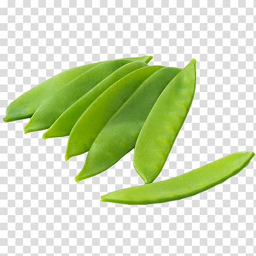 Snow pea Snap pea Green bean Stir frying, peas transparent background PNG clipart