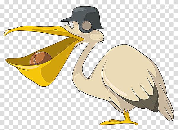 Pelican Bird Cartoon Illustration, Mouth cartoon duck material transparent background PNG clipart