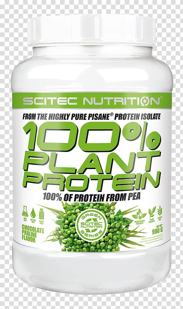 Praline Whey protein isolate Pea protein Nutrition, chocolate transparent background PNG clipart