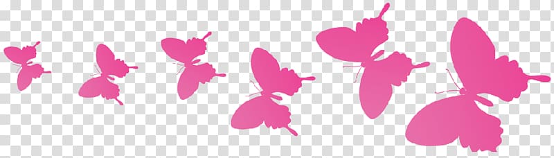 Korean drama The Butterfly Garden Silla, New label transparent background PNG clipart