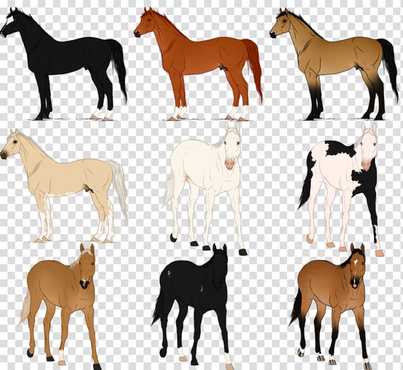 Mustang Foal Mare Stallion Mane, Chestnut Thoroughbred transparent background PNG clipart