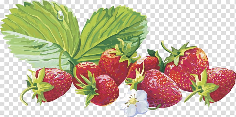 Ansichtkaart Music Animation , strawberry fruit transparent background PNG clipart