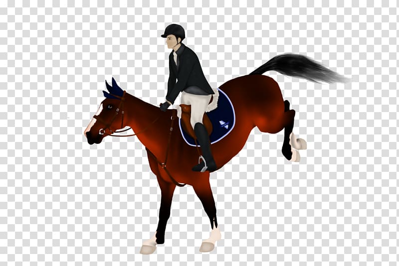 Hunt seat Equestrian , horse rider transparent background PNG clipart