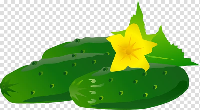Cucumber Fruit, Hand painted green cucumber flowers transparent background PNG clipart