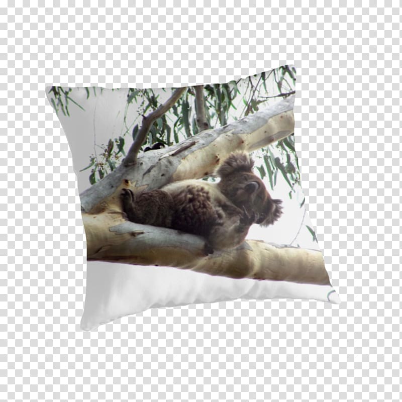 Koala Throw Pillows Cushion Marsupial, flippers transparent background PNG clipart