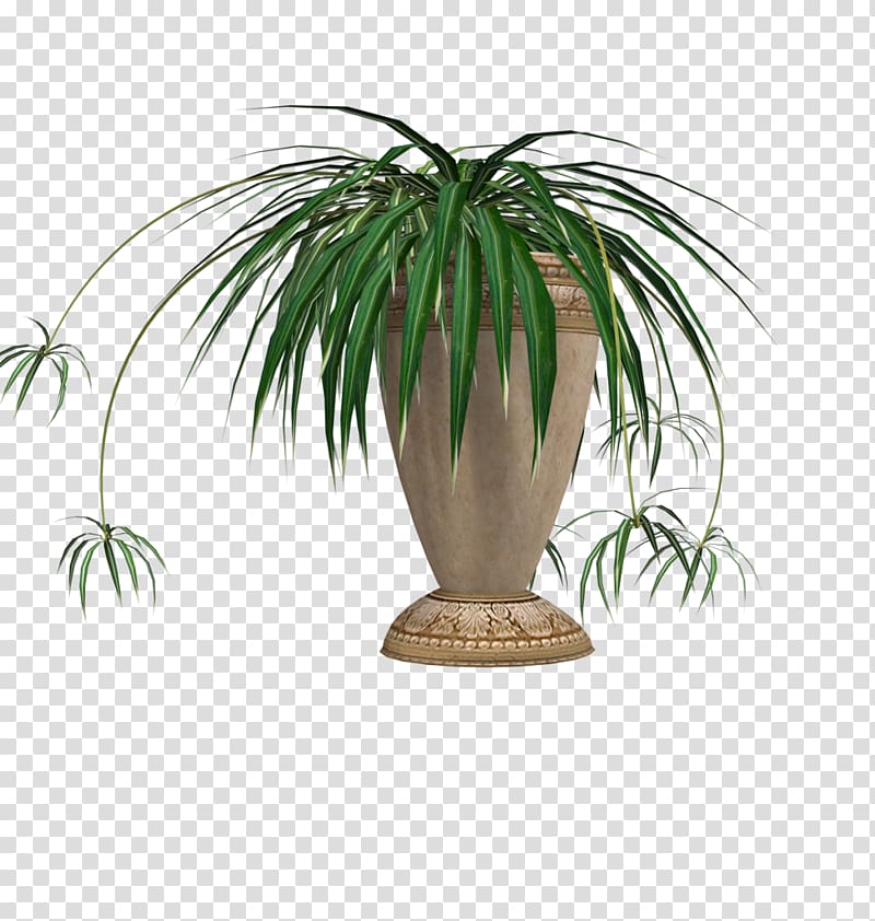 Portable Network Graphics Flowerpot Penjing Palm trees, eps (2) transparent background PNG clipart