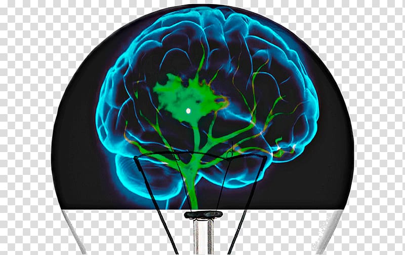 Human brain Cognitive training Neuroimaging Reabilitação neurológica, miopia transparent background PNG clipart