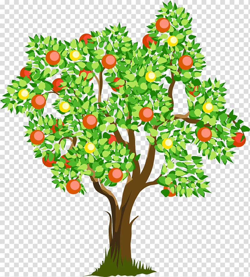 Occupational Therapy Education Sensory processing National Primary School, orange tree transparent background PNG clipart