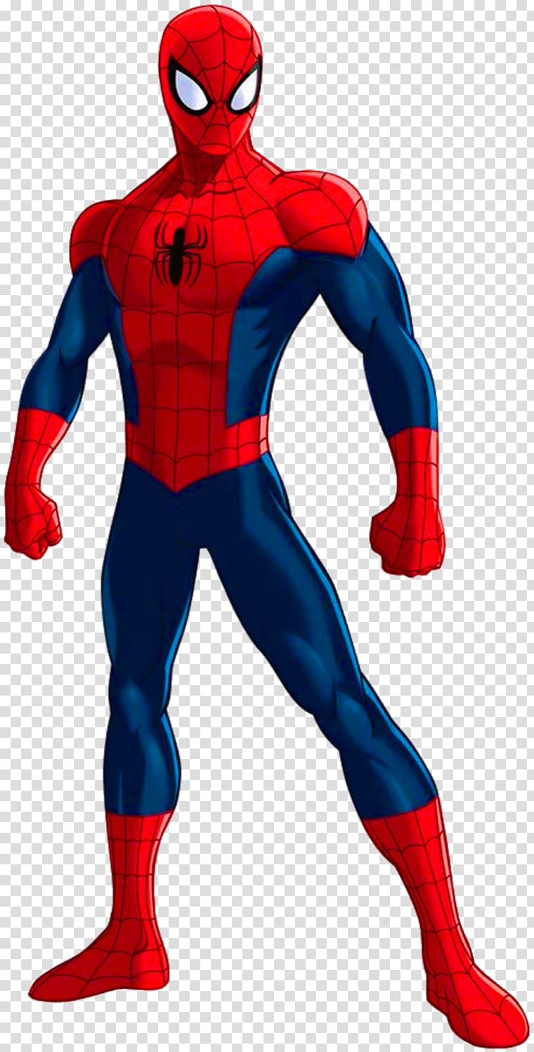 Marvel Spider-Man illustration, Ultimate Spider-Man Hulk Standee Poster, spider transparent background PNG clipart