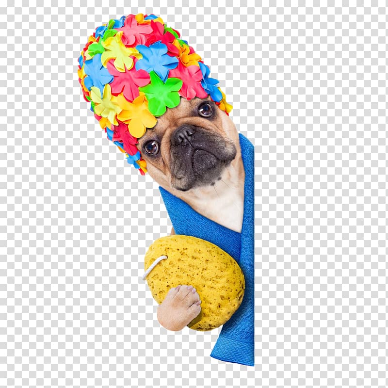 dog shower cap transparent background PNG clipart