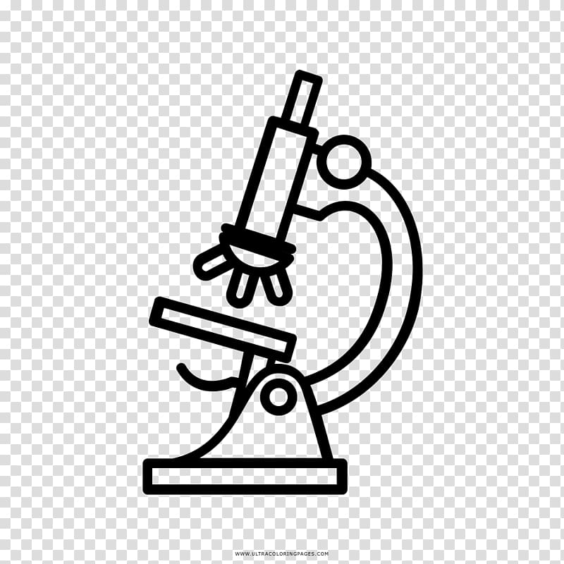 Microscope Doodle Stock Illustrations – 3,866 Microscope Doodle Stock  Illustrations, Vectors & Clipart - Dreamstime