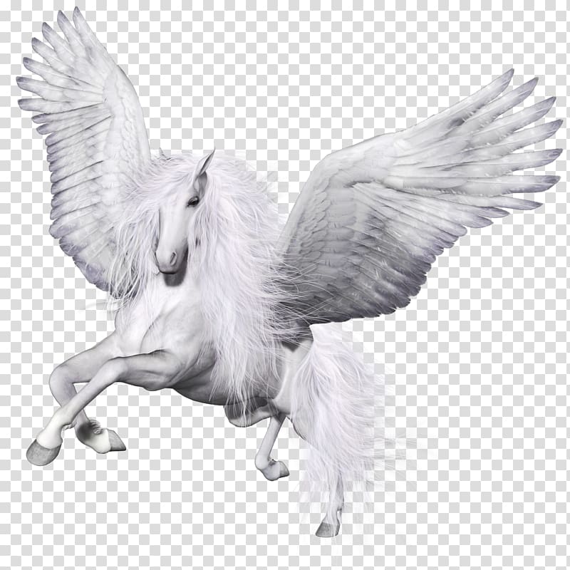 white pegasus illustration, Winged unicorn Pegasus Horse Pillow, Pegasus transparent background PNG clipart