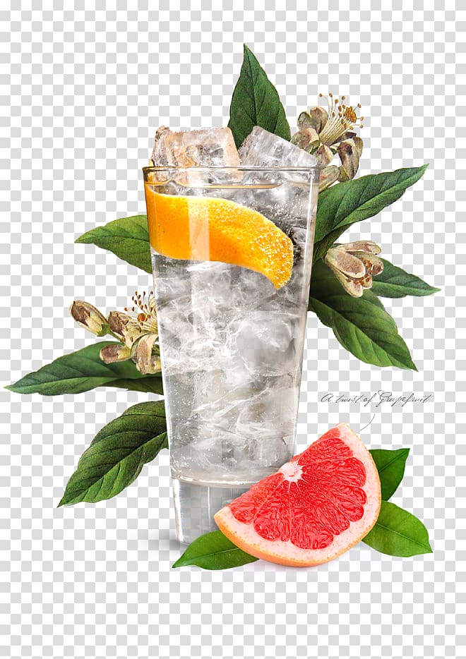 Cocktail garnish Gin and tonic Portobello Road Gin, glass of water transparent background PNG clipart