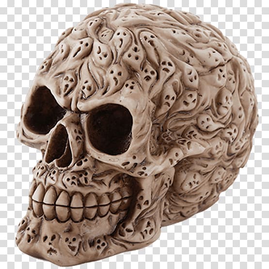 Human skull Calavera Skeleton Bone, skull transparent background PNG clipart