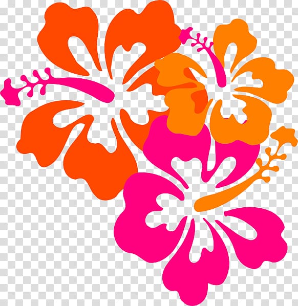 Hawaii Rosemallows Flower , flower transparent background PNG clipart