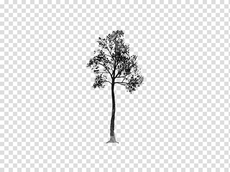 Desktop Tree Monochrome , trees transparent background PNG clipart