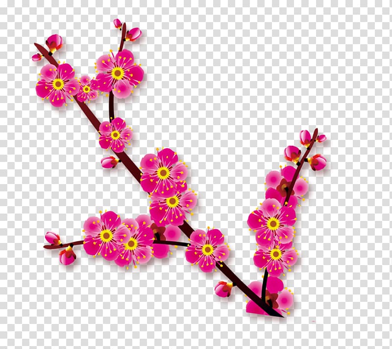 , Plum flower transparent background PNG clipart