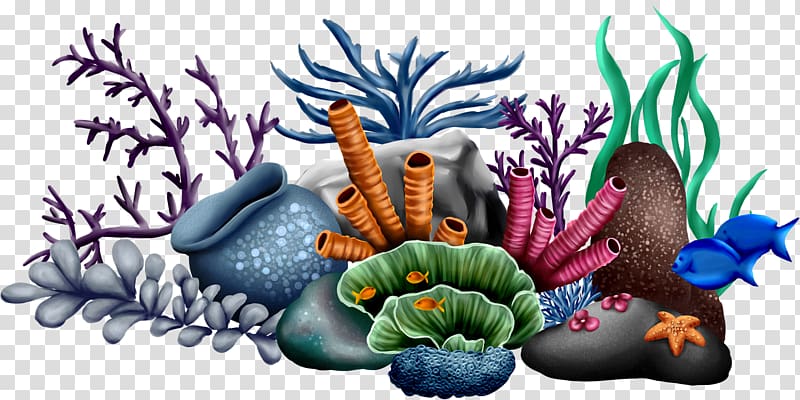 coral reef background clipart