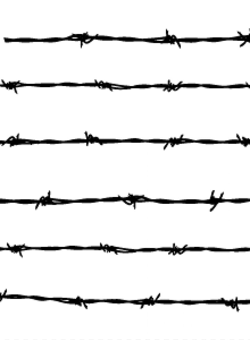 Barbed wire Fence Barbed tape , barbwire transparent background PNG clipart
