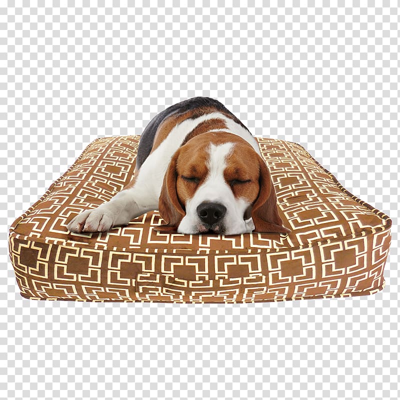 Dog breed Beagle Puppy Bed Pillow, puppy transparent background PNG clipart